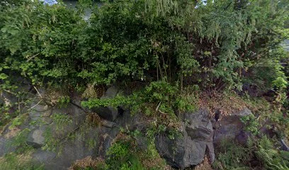 Dolmen & sønner AS