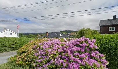 Harald Søndenå Maling & Tapetsering