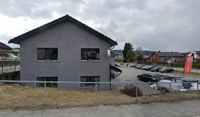 Holms Bilpleie