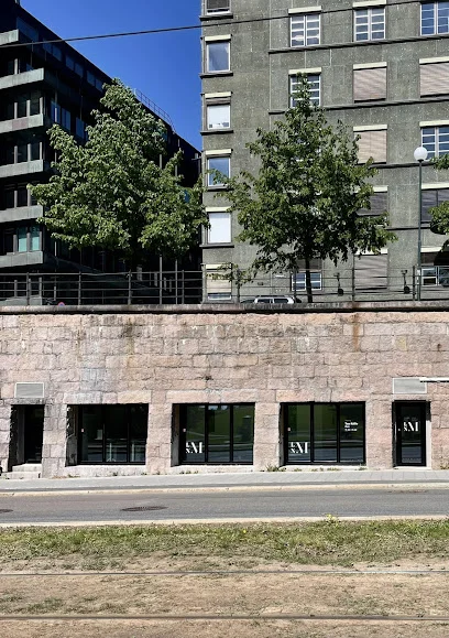 LNM (Landsforeningen Norske Malere)